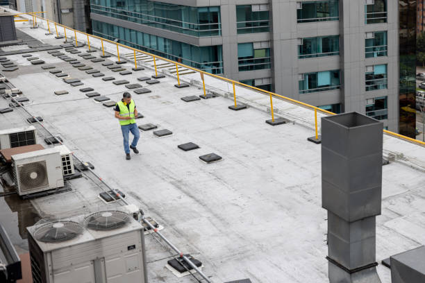 Best Roof Ventilation Installation  in Pine Island, TX